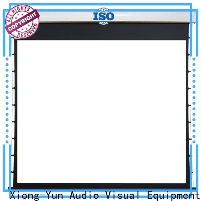 XY Screens Motorized Projection Screen personalized for home 1