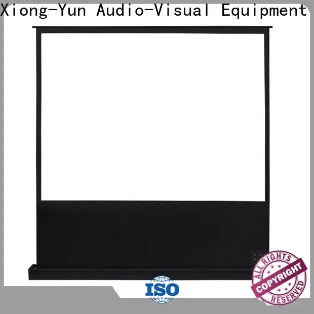 rising portable pull up projector screen with good price for living room 1