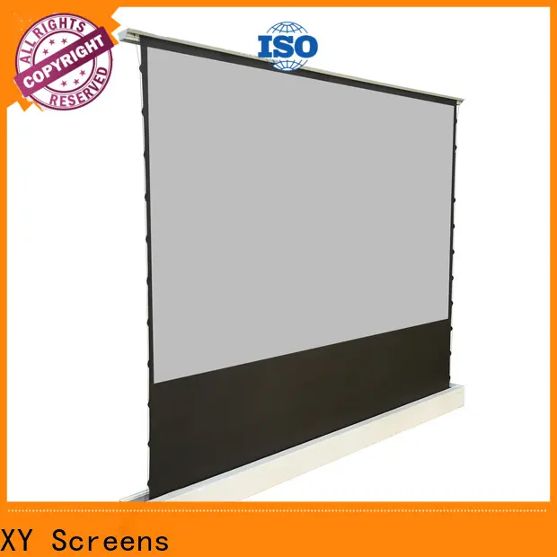XY Screens projection screen price with good price for living room 1