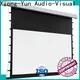 XY Screens tab tensioned projector screen wholesale for living room 1