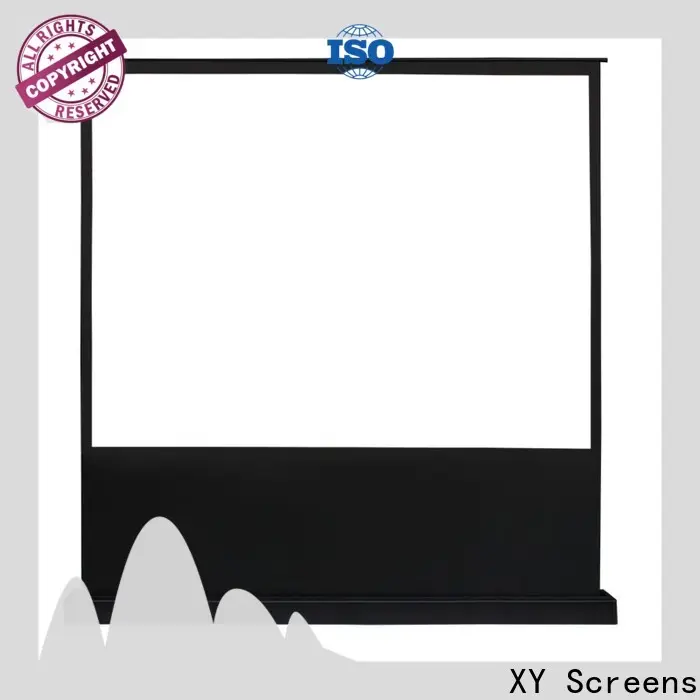 XY Screens portable pull up projector screen with good price for household 1