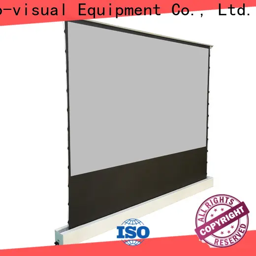 XY Screens rising pull up projector screen design for living room 1