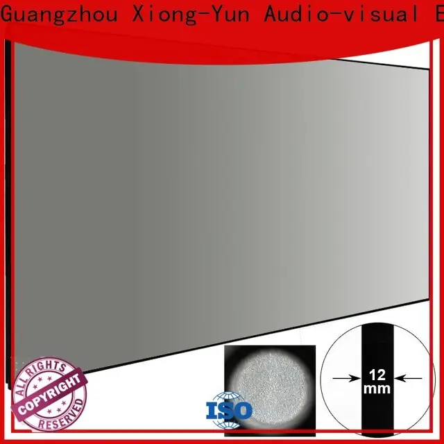 light rejecting ambient light projector wholesale for living room 1