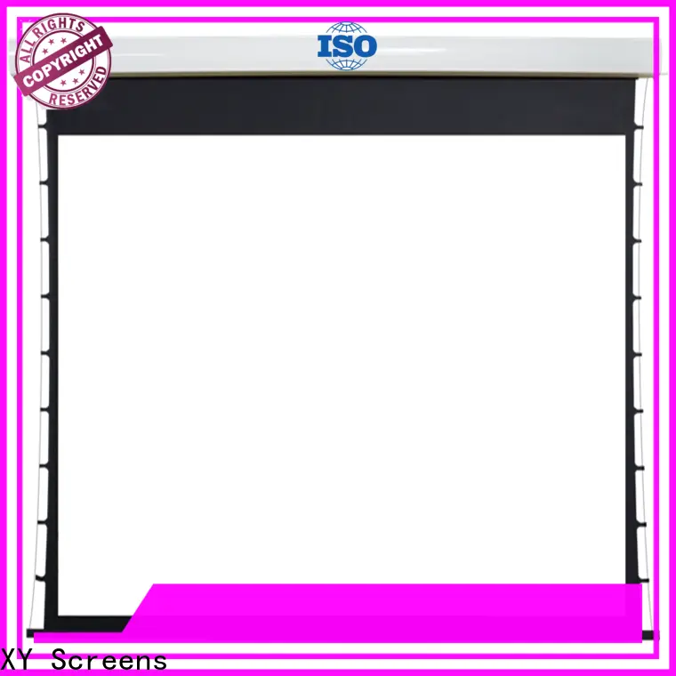XY Screens Motorized Projection Screen supplier for home1 1