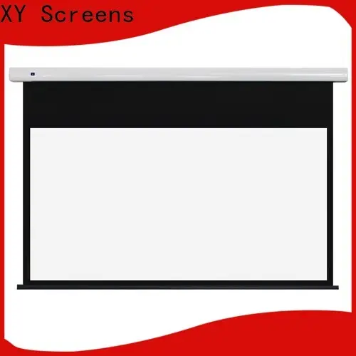 motorized Motorized Projection Screen inquire now for living room 1