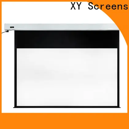 retractable motorized screens personalized for theater 1