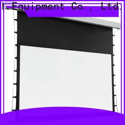 inceiling fixed projector screen design for living room 1