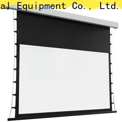inceiling theater screen inquire now for living room 1