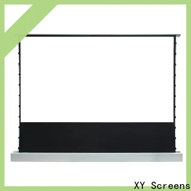 XY Screens pull up projector screen factory for household 1