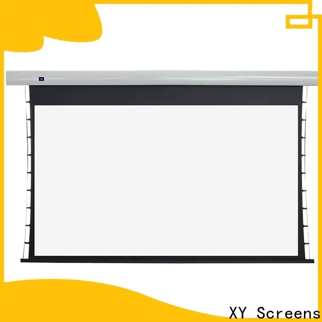 XY Screens theater screen inquire now for living room2 1