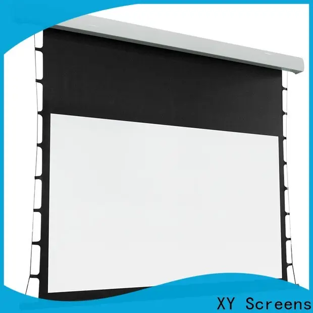 XY Screens theater screen design for living room 1