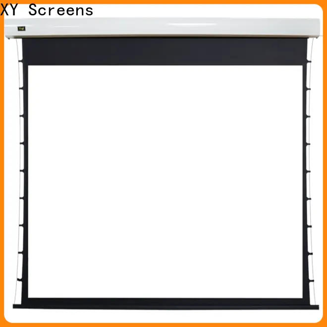 XY Screens Home theater projection screen supplier for home2 1