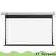 intelligent Motorized Projection Screen supplier for home 1
