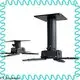 XY Screens projector floor mount series for television2 1