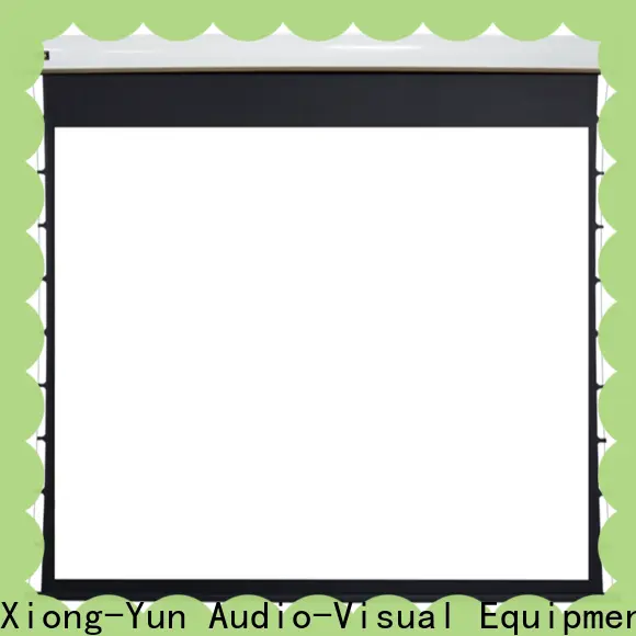stable motorized projector screen personalized for theater 1