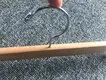 New where can i buy wooden coat hangers quality Supply for pants 3
