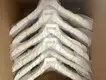 Small Wooden Hangers PRODUCTS Wholesale - LEEVANS 6