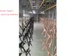Black Wooden Hangers Wholesale Golden Metal - - LEEVANS 5