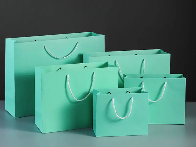 Custom color paper bag ,shopping bag with brand logo 1