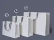 Hangers Wholesale Shopping Bag & Tissue Paper & Paper Box Wholesale - LEEVANS 4