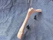 Wooden Coat Hanger Yes by LEEVANS 5