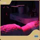 Factory Price Top Rated Red Light Therapy Devices Price List 1