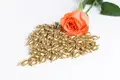 Jinhongbo beads anti aging supplements manufacturers for face 2