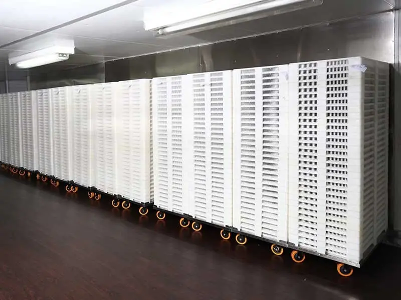 Jinhongbo Array image97