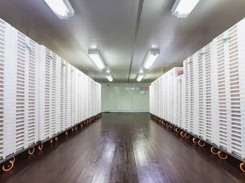 Jinhongbo Array image38