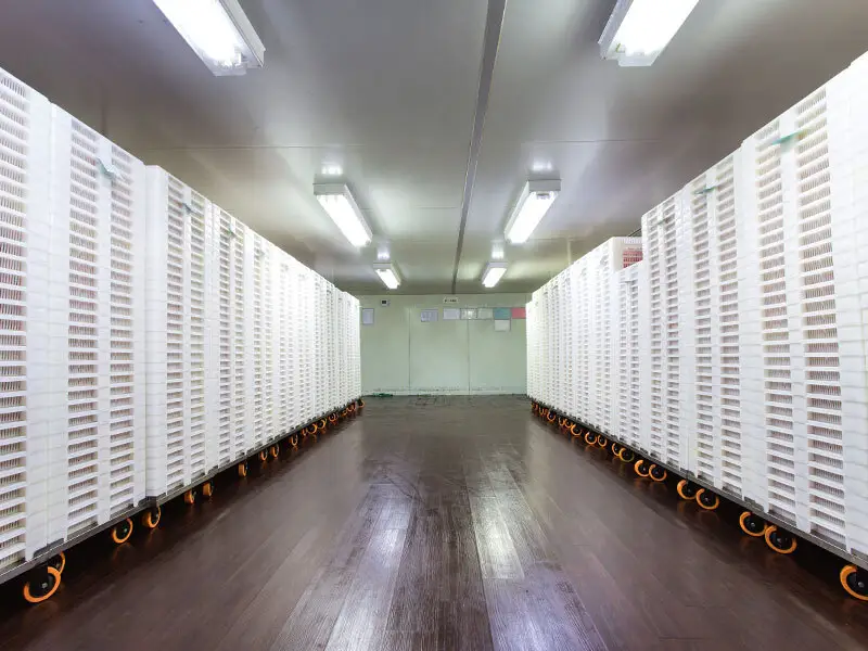 Jinhongbo Array image3
