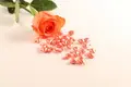 Jinhongbo extract facial capsule for beauty 6