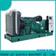 professional generator diesel supply for electrical power 1