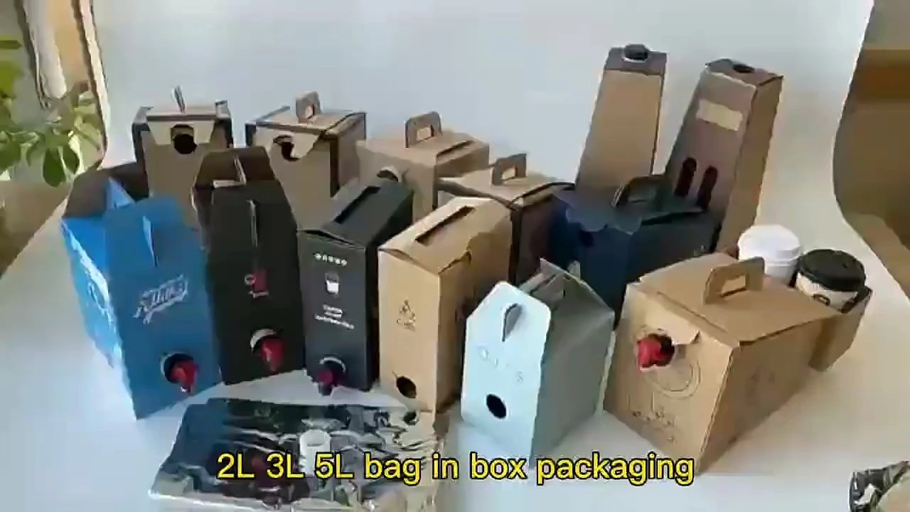 3L, 5L, 10L sized disposable bib bags, used for packaging cold-brewed coffee liquid bags, with dispenser for beverages, wines and sterile bags 1