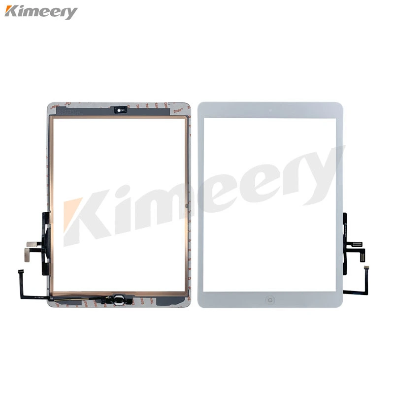 iPad 5 TOUCH OEM 1