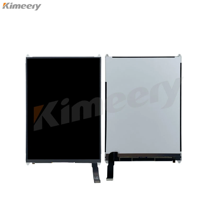 iPad mini 2 LCD 1