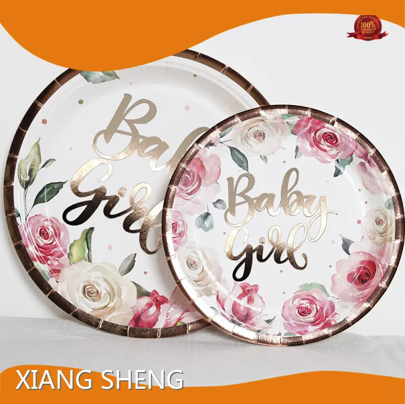 Personalize Paper Plates 300g Coated Paper Printing Wholesale - Xiangsheng 1