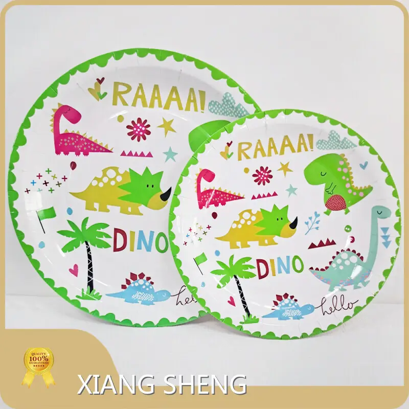 Custom Paper Plates XS - - Xiangsheng 1