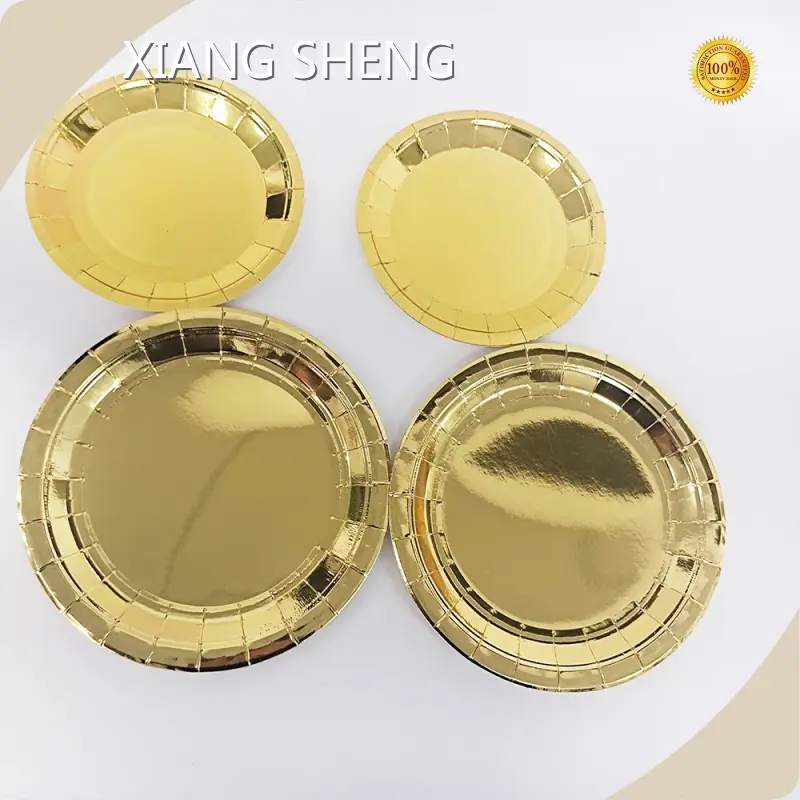 Party Paper Plates Customized Wholesale - Xiangsheng 1