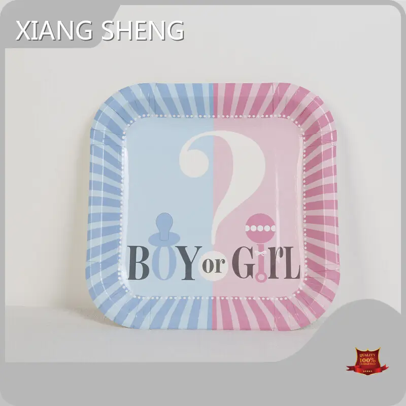 Custom Paper Plates with Photo Dishes & Plates Wholesale - Xiangsheng 1