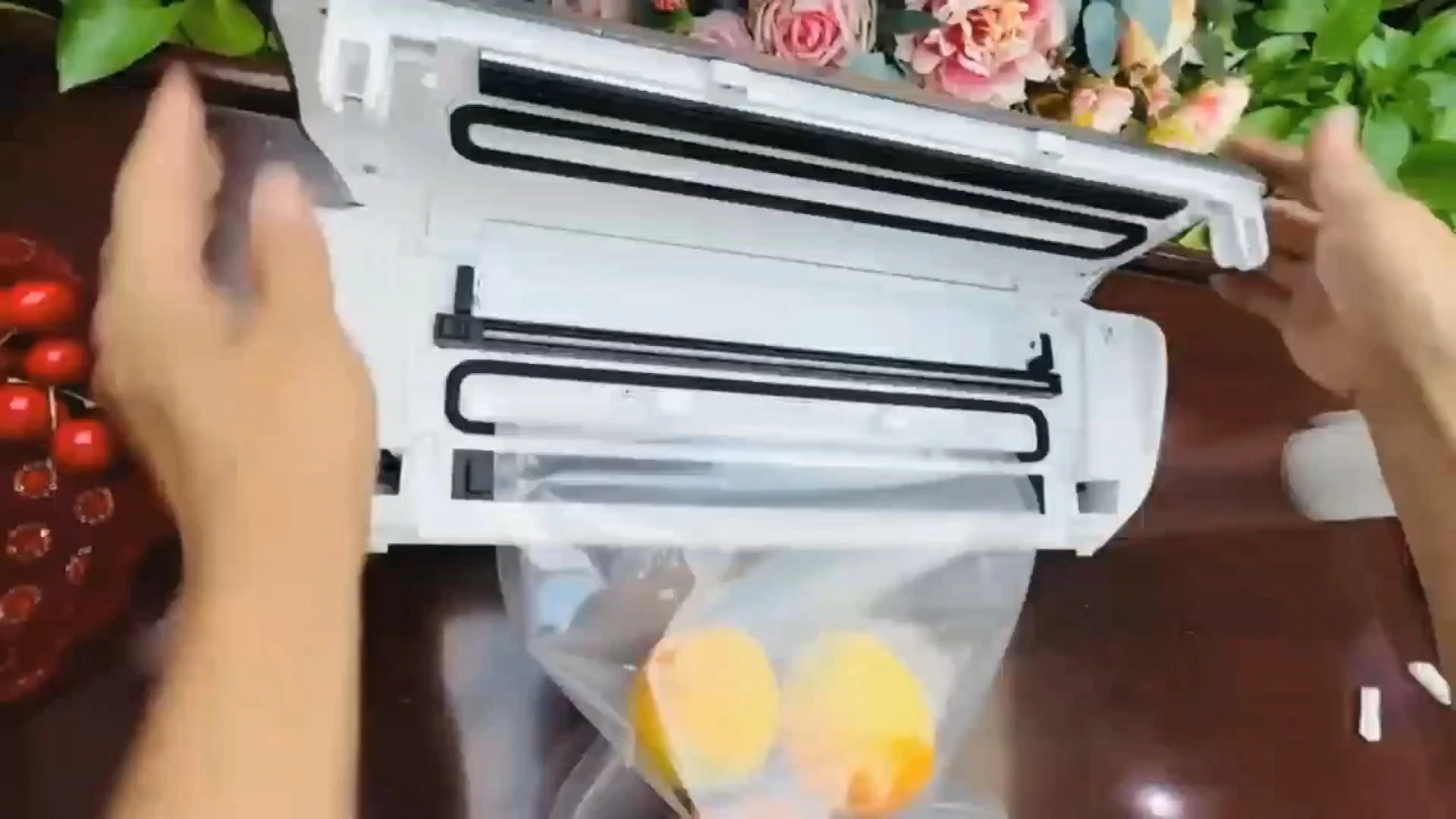 Seal-a -date vacuum sealer VS4 1