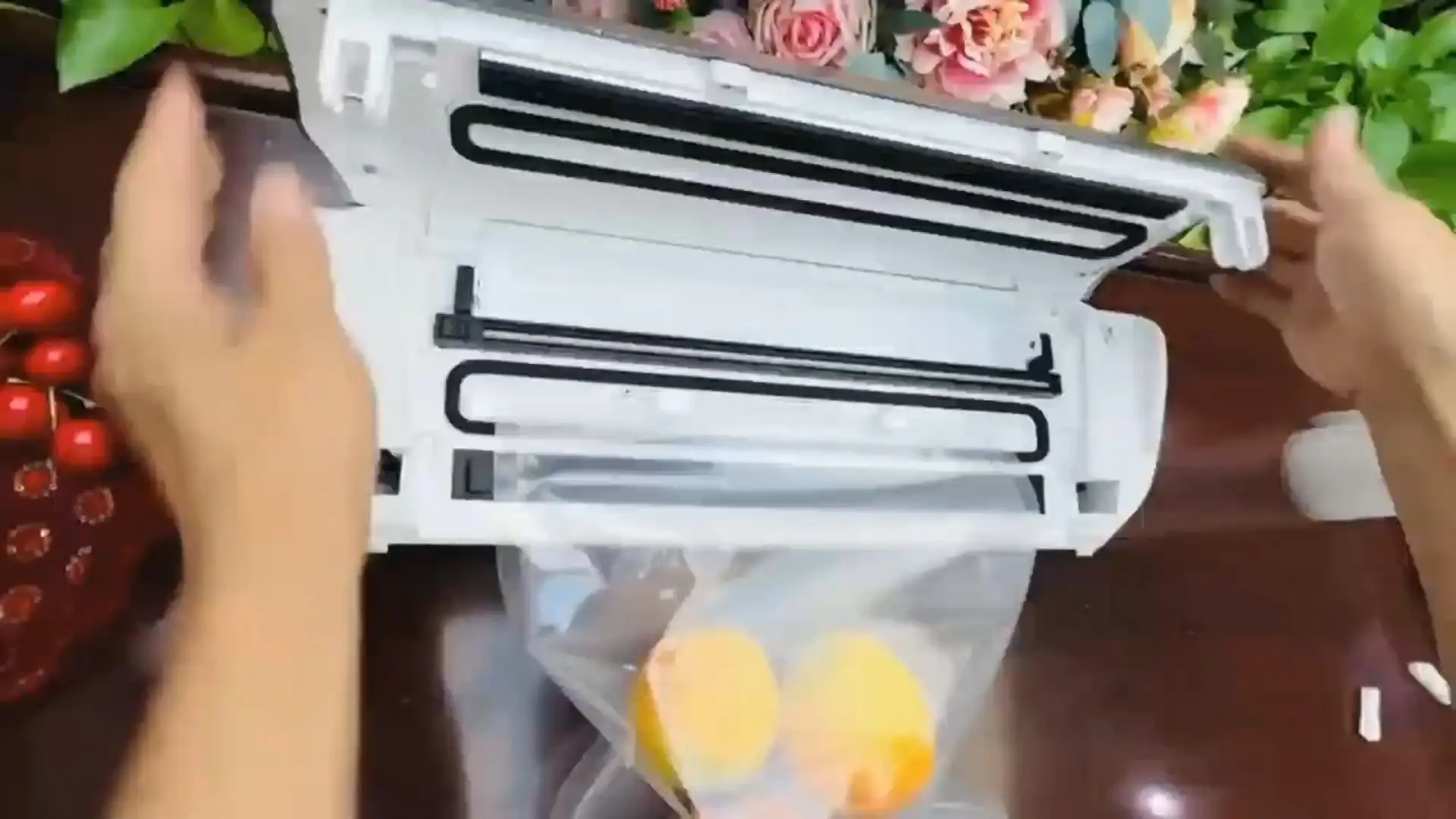 Seal-a -date Best Rated Vacuum Sealer VS4 1