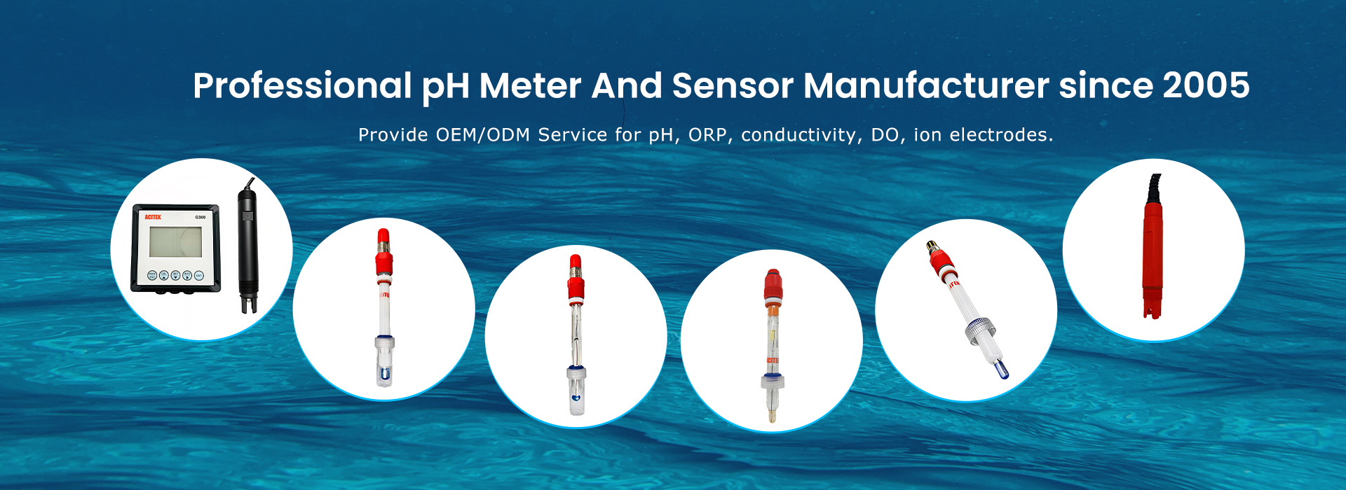 Since 2005pH Meter And Sensor   Manufacturer