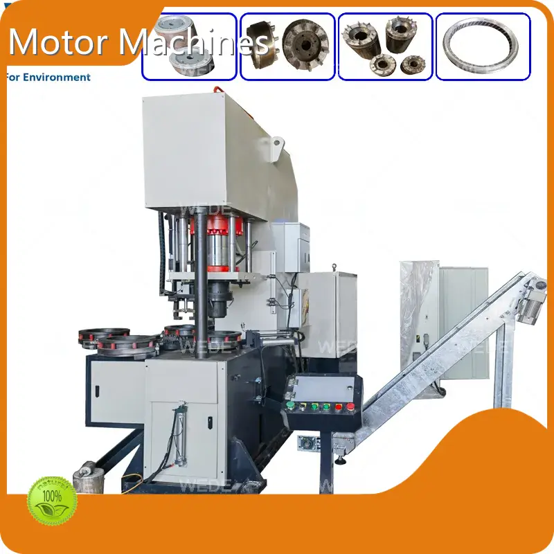 Rotor Die Casting Machine Manufacturers 15 Seconds/Piece Wholesale - WEDE 1