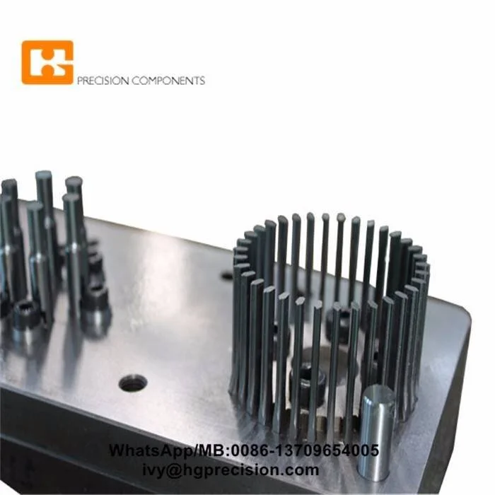 High Speed Stamping Mold Components-HG 1
