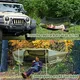 Night Cat Camping for Camping 4-15 Working Days Deliveryfor Business 7