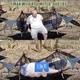 Night Cat Camping for Camping 4-15 Working Days Deliveryfor Business 8