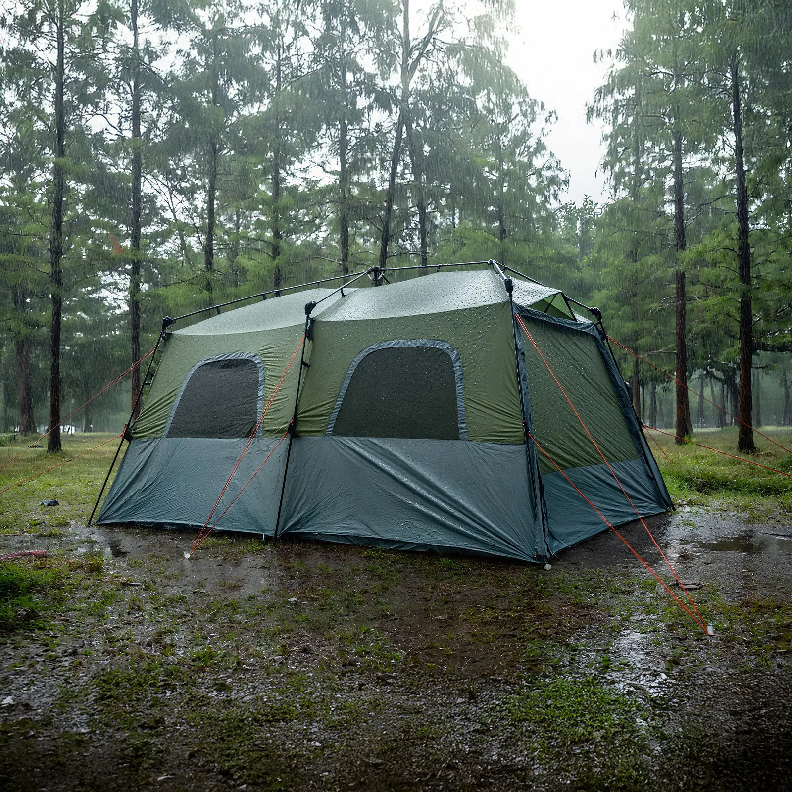 Instant Popup Tents by Night Cat 7