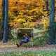 Triangular Mesh Hammock 4-15 Working Days Delivery - for Outside - Night Cat 7