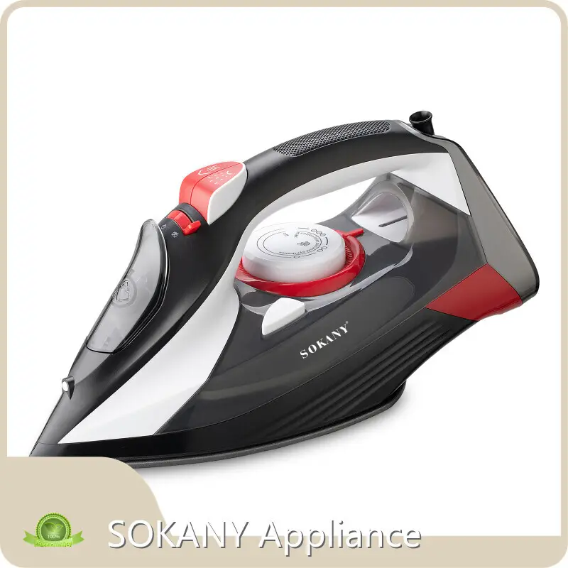 Steam Iron Ningbo 220-240V / 110Vwholesaler 1