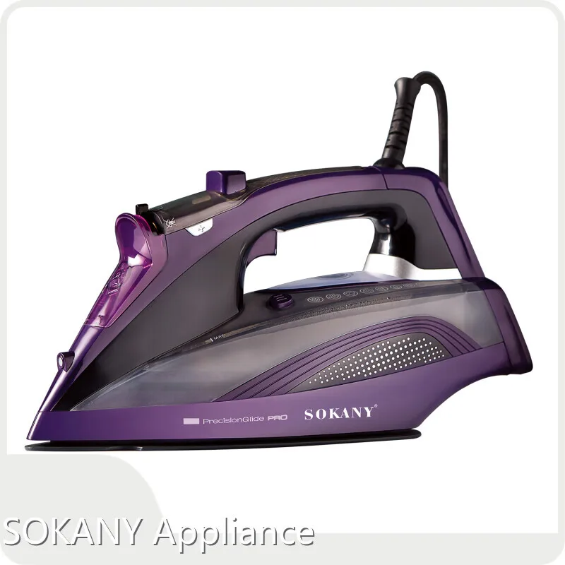 Innovative Vertical Steam Iron Factory 1